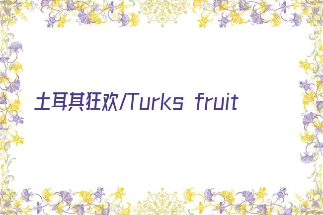 土耳其狂欢/Turks fruit剧照